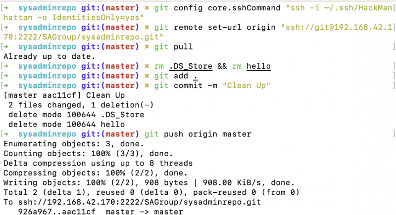 File:Git SSH Experience.png